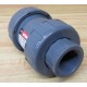 Hayward TC10100STE Check Valve 1"