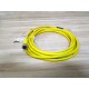 Lumberg RST4RKT4-6024M Cordset - New No Box